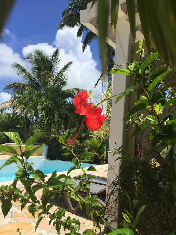 La Metisse 3* Saint-Francois (Grande-Terre)